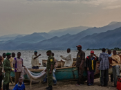 Wwf: “Stop test sismici nella Repubblica democratica Congo cercare petrolio”