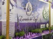 Cosmoprof 2014. mondo Lavanda Lago