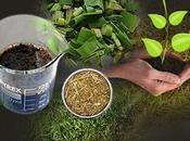 29/04/2014 Biomassa, Biogas Utilizzo Efficiente Digestato: Monitoraggio degli effetti sulla fertilità terreno