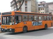 modelli autobus Iveco Effeuno