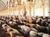 Moschee: siamo sicuri solo questione ordine pubblico?