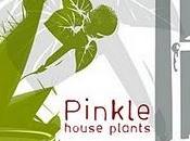 [aaahh010] Pinkle "House Plants"