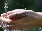 Acqua pubblica, acqua privata: (quasi) tutto pronto referendum