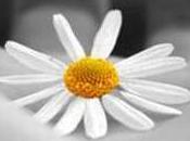 L’EMOZIONE L’ADATTAMENTO: gusto della vita, felicità l’infelicità. Parte