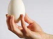 colesterolo uova proibite