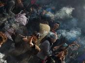 Foto giorno febbraio: inizia l'anno coniglio