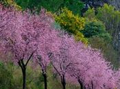 L’importante avere sogno…sempre…ovunque…e volerlo realizzare