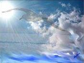 Quando sincerità diventa scusa...