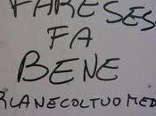 dire gatto l'hai sacco