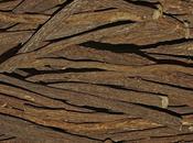 gola rimedio della Nonna liquirizia