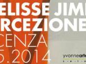 VICENZA: PERCEZIONE mostra personale Ivelisse Jiménez Palazzo Bissari Malvezzi