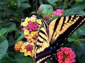 Buon Primo Maggio tutti! Pronti scampagnate gite compagnia?