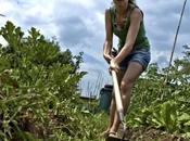 LAZIO altra splendida regione assegna orti urbani