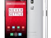 OnePlus disponibilità: ecco roadmap