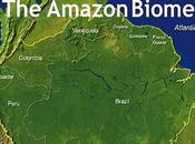 02/05/2014 Salva l'Amazzonia, Oasi mondo