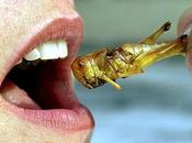 Anche vegani dovrebbero mangiare insetti, smettetela rompere p……!