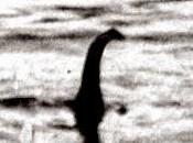 Maggio Avvistamento mostro Loch Ness