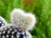 Come consultare Ching, Sentimenti Percorsi Apprendimento Gianni Carmelo 42.4