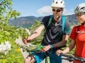 ruote lungo degli asparagi