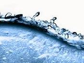 PAVIA. dell'Acqua studiate duemila bambini. vincitori premiati maggio Museo della Bonifica