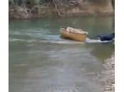 Labrador salva cani dalla canoa alla deriva (video)