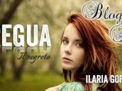 Tappa Blogtour "Tregua" Ilaria Goffredo: giochi volta