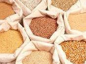 Cereali integrali Farine raffinate
