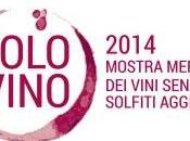 Solovino, festa vino naturale Caffè Letterario