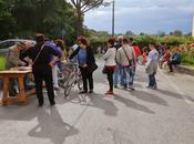 l'aquilone "sarello" Pasquino