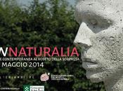 TORINO: INNATURALIA opere Carrara, Ippolito, Parchynski, Valente, Zorio Associazione Amici Roseto della Sorpresa