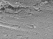 Batterie film cellulari solo