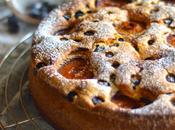 Torta gluten free alle prugne mirtilli