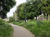 debacle tutte tutte) aree verdi della città. Ecco parco Torrione Prenestino, inaugurato pochi anni oggi rovina