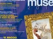 Notte musei 2014