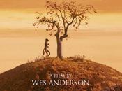 Fantastic Anderson (2009)