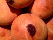 Pangoccioli