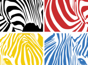 Zebra party, balla contro discriminazioni