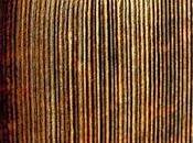 canzone Cassilda (Pt.2)