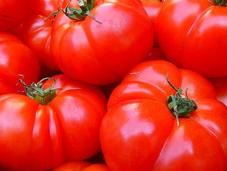 Mangiate pomodori…proteggono pelle sole!