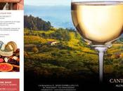 cosa nasce l'ispirazione delle creazioni sughero riciclo cassetta legno