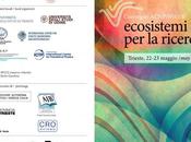 Ecosistemi ricerca