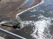 Licata: manutenzione straordinaria sulla foce Salso