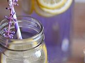 Refreshing Summer Drinks