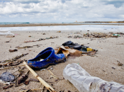 Legambiente: spiagge italiane sono colme plastica”