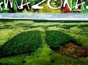27/05/2014 Greenpeace: Allarme Amazzonia