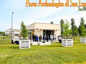 sala espositiva parco archeologico Genesio