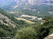Benia calastoria