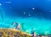 Rangiroa, bellezza infinita sopra sotto mare della Polinesia