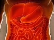 Gastroenteriti