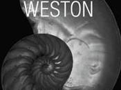 Edward Weston (Taschen Icons Series) Terence Pitts, Manfred Heiting
